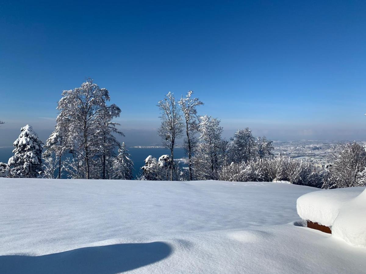 Seeblick Appartement Henle Bregenz Exterior foto